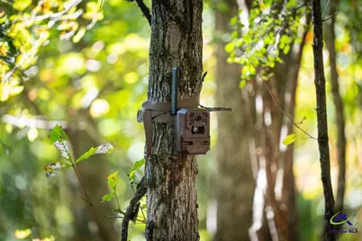 Ohp Dominy Road, Toomsboro, GA 31090 - Photo 17