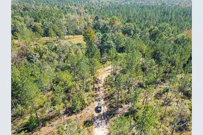 Ohp Dominy Road, Toomsboro, GA 31090 - Photo 19