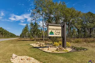 13 Timber Way, Cochran, GA 31014 - Photo 1