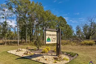 31 Evergreen Dr, Cochran, GA 31014 - Photo 1