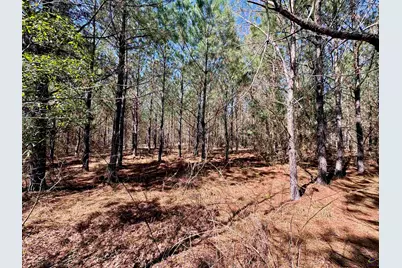 0 Rock Springs Road, Glenwood, GA 30428 - Photo 7