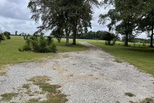 190 Dan Sparrow Rd, Hawkinsville, GA 31036 - Photo 19