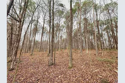 5601 Clay Rd, Musella, GA 31066 - Photo 27