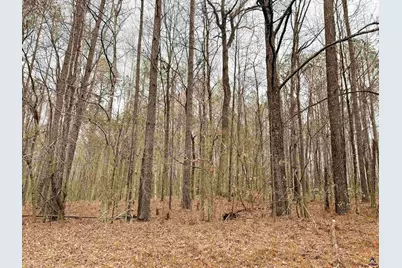 5601 Clay Rd, Musella, GA 31066 - Photo 29