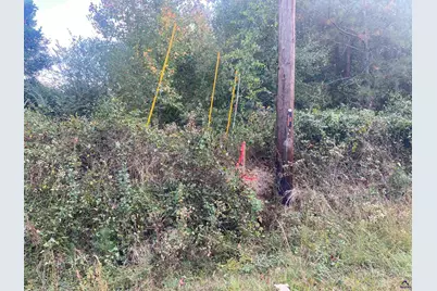 Moseley Road, Byron, GA 31008 - Photo 11