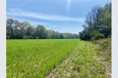 Moseley Road, Byron, GA 31008 - Photo 3