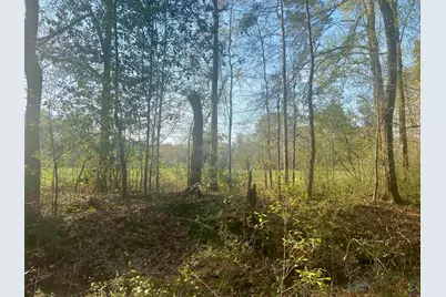 Moseley Road, Byron, GA 31008 - Photo 7