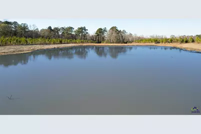 733 Chester-Cochran Highway, Chester, GA 31012 - Photo 7