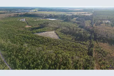 733 Chester-Cochran Highway, Chester, GA 31012 - Photo 41