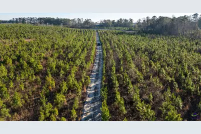 733 Chester-Cochran Highway, Chester, GA 31012 - Photo 37