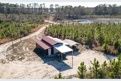 733 Chester-Cochran Highway, Chester, GA 31012 - Photo 9