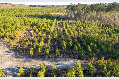 733 Chester-Cochran Highway, Chester, GA 31012 - Photo 21