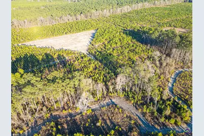 733 Chester-Cochran Highway, Chester, GA 31012 - Photo 3