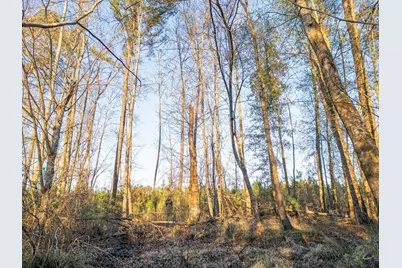 733 Chester-Cochran Highway, Chester, GA 31012 - Photo 33