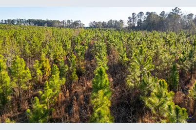 733 Chester-Cochran Highway, Chester, GA 31012 - Photo 39