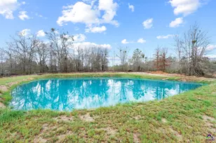 29 Purvis Ln, Mcrae, GA 31055 - Photo 43