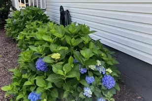 2685 Pineworth Rd, Macon, GA 31216 - Photo 41