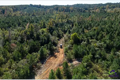 1190 Wriley Road, Irwinton, GA 31042 - Photo 11