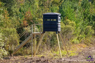 1190 Wriley Road, Irwinton, GA 31042 - Photo 7