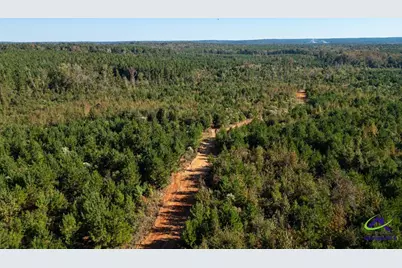 1190 Wriley Road, Irwinton, GA 31042 - Photo 5