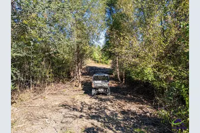 1190 Wriley Road, Irwinton, GA 31042 - Photo 13