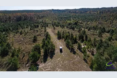 1190 Wriley Road, Irwinton, GA 31042 - Photo 15