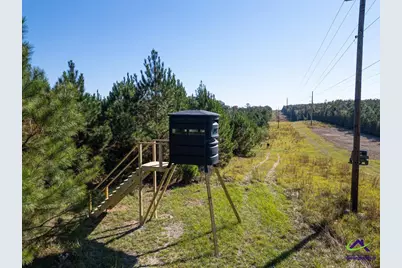 1190 Wriley Road, Irwinton, GA 31042 - Photo 19