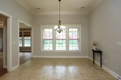 217 Wilsons Creek Bend, Bonaire, GA 31005 - Photo 19