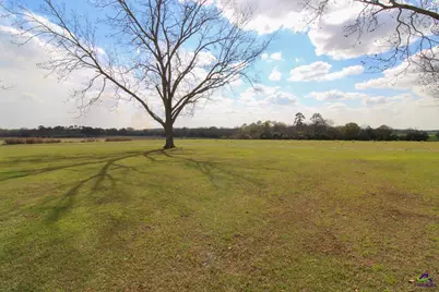 427 Pulaski High School Road, Pineview, GA 31071 - Photo 29