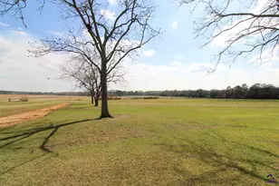 427 Pulaski High School Rd, Pineview, GA 31071 - Photo 27