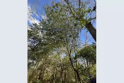 0000 South Street Aka Market Street, Marshallville, GA 31057 - Photo 1