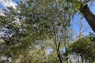 0000 South Street Aka Market St, Marshallville, GA 31057 - Photo 1