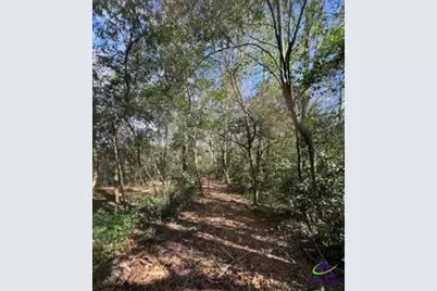 0000 South Street Aka Market Street, Marshallville, GA 31057 - Photo 3