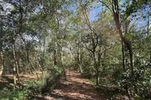 0000 South Street Aka Market St, Marshallville, GA 31057 - Photo 3