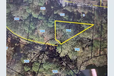 704 Overlook Drive, Montezuma, GA 31063 - Photo 1