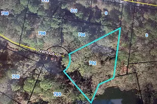 702 Overlook Dr, Montezuma, GA 31063 - Photo 1