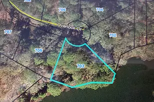 703 Overlook Dr, Montezuma, GA 31063 - Photo 1