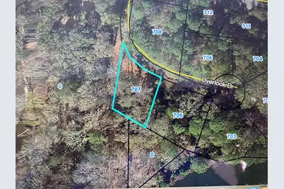 707 Overlook Drive, Montezuma, GA 31063 - Photo 1