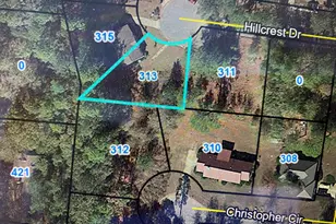 313 Hillcrest Dr, Montezuma, GA 31063 - Photo 1