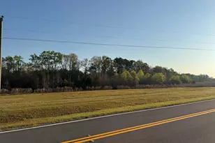 0 Whitfield Rd, Elko, GA 31025 - Photo 1