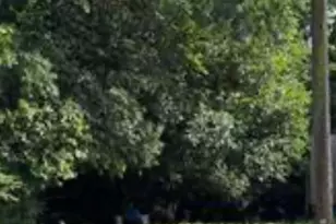 1730 2nd Ave, Macon, GA 31210 - Photo 1