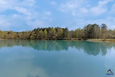 1053 W 26 Highway, Cochran, GA 31014 - Photo 7