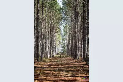 1053 W 26 Highway, Cochran, GA 31014 - Photo 83