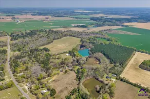 1053 W 26 Hwy, Cochran, GA 31014 - Photo 87