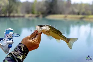 1053 W 26 Hwy, Cochran, GA 31014 - Photo 79