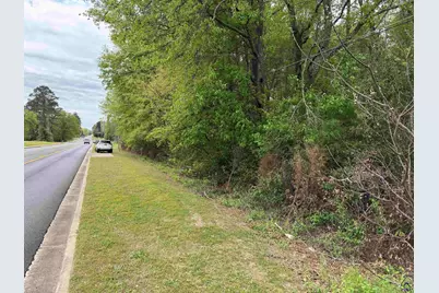 Old Perry Road, Bonaire, GA 31005 - Photo 3