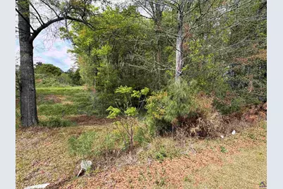 Old Perry Road, Bonaire, GA 31005 - Photo 1