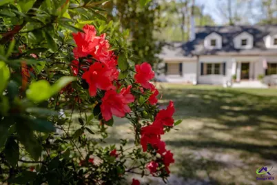 34 Pine Level Drive, Hawkinsville, GA 31036 - Photo 71