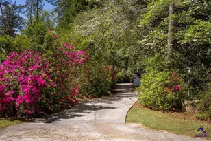 34 Pine Level Dr, Hawkinsville, GA 31036 - Photo 73