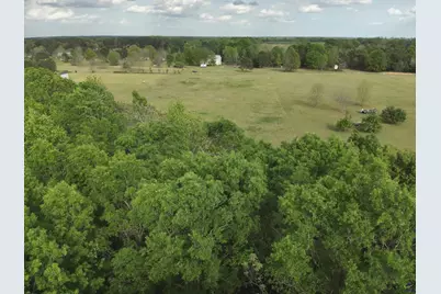 224 Scott Road Road, Elko, GA 31025 - Photo 3